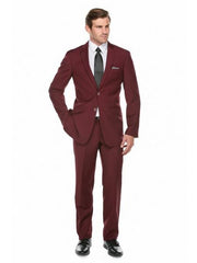 Wine ~ Maroon Suit   ~ Burgundy Men's Slim Fit Suit